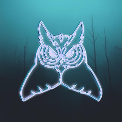 UNVEILED OWLS 05 - DROPZ (FMG GUEST-MIX)