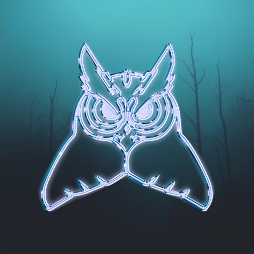 UNVEILED OWLS 05 - DROPZ (FMG GUEST-MIX)