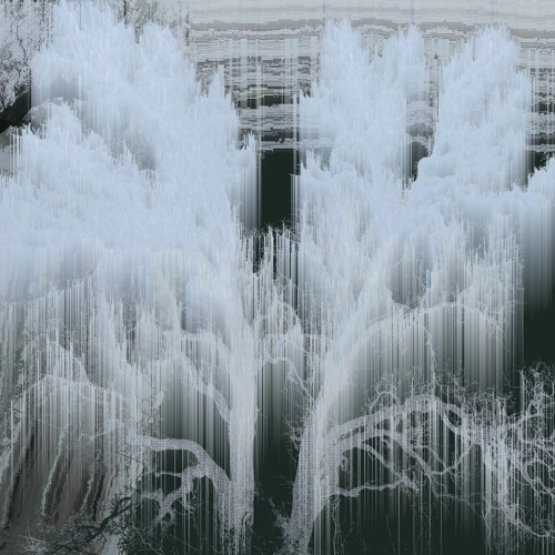 Do U Mean What U Say Do U Say What U Mean