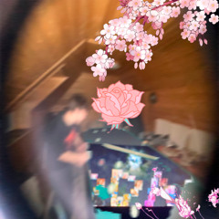 dabbackwood - mashup collection