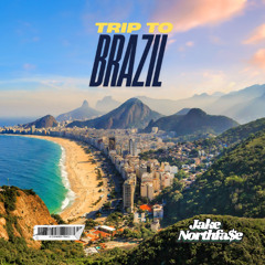 Trip To Brazil