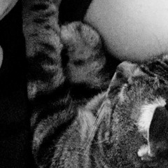 Runaway (hell hounds on my trail) (Better Eq version)