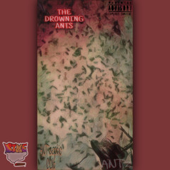 Frequent Flyer miles