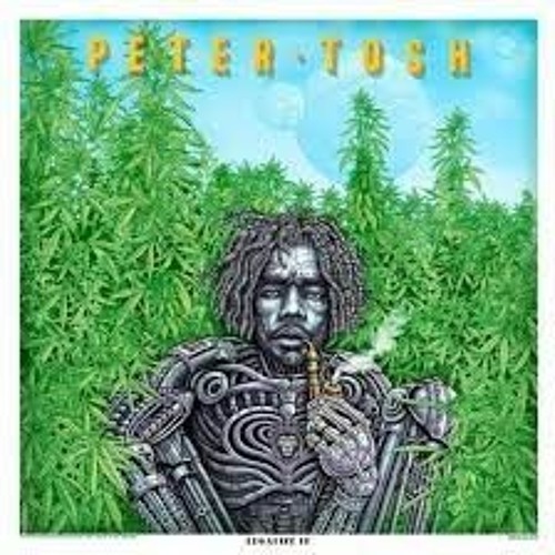 Peter Tosh - Rasta Shook Them Up & Mark Of The Beast