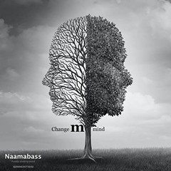Naamabass - Change My Mind 🗽