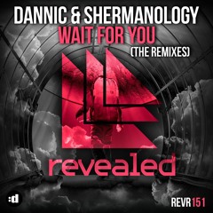 Wait for You (Tom & Jame Remix)