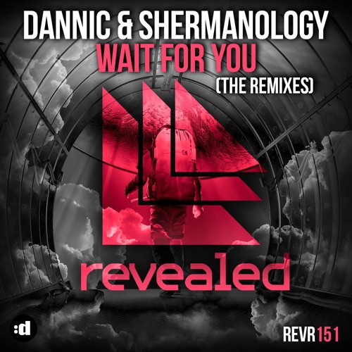 Wait for You (Tom & Jame Remix)