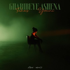Gharibeye Ashena (ft Tahas)