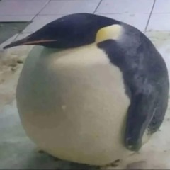 Painfight (dad rock) .wav