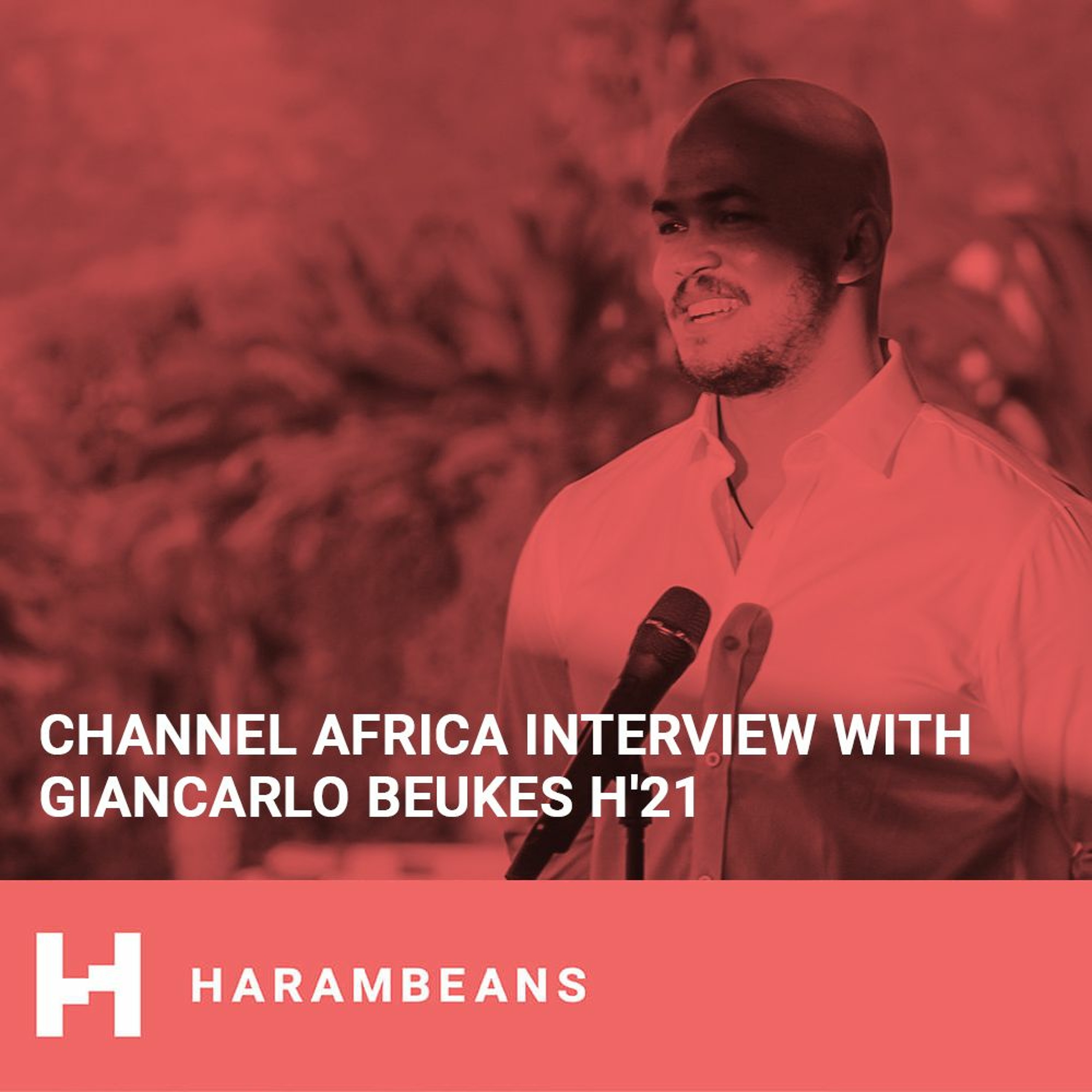 Harambeans at Work