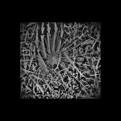 Terror Cognitive Dissonance (hybrid recording) - Hand Of Glory