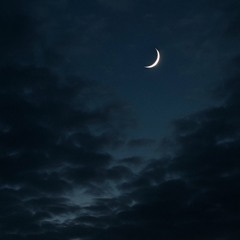 Sleep talk