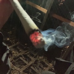 durbaan iyo baas