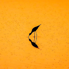 zur Sommerzeit