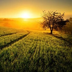 You Got Me Dreamin' (1h Vocal- and Deep-House, vinyl only)