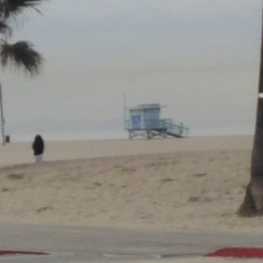what they doing