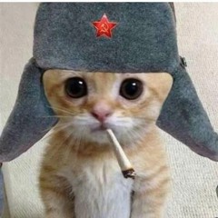 Бетховен джерк фарш