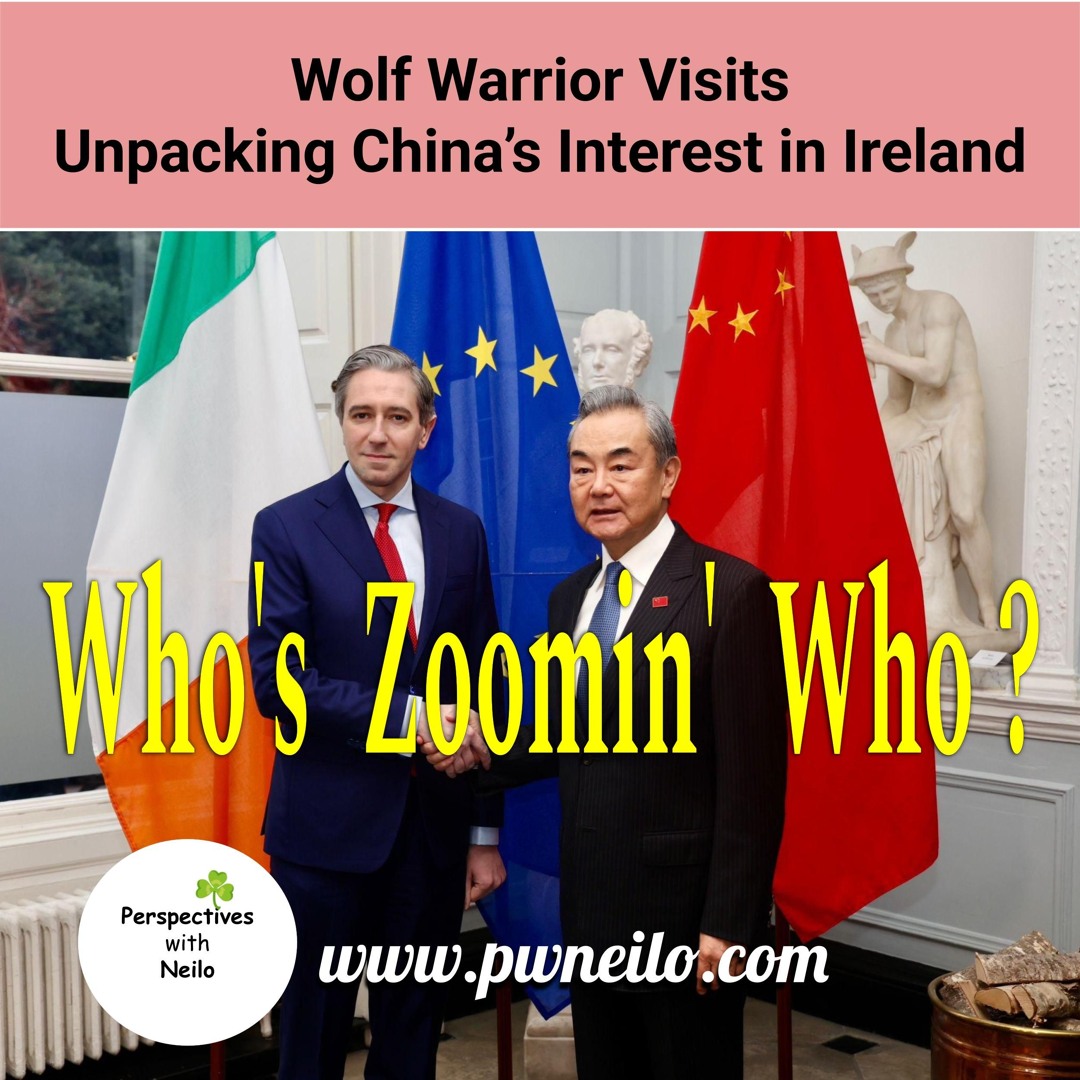 Wolf Warrior Visits - Unpacking China's Interest in Ireland