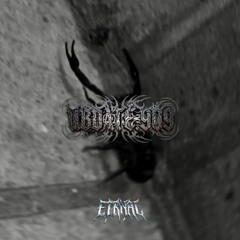 GROVESSIVE (HARDGROOVE AND SCHRANZ SET) (145-155 BPMS)