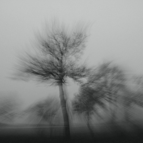 DELUSION  1