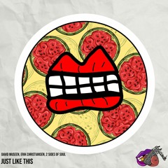 David Museen, Erik Christiansen, 2 Sides Of Soul - Just Like This [Delicious Rebels]