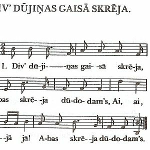 Div' dūjiņas gaisā skrēja