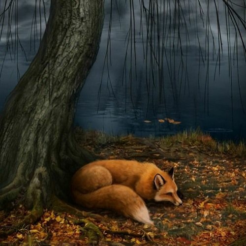 Your Story Interactive - Legend Of The Willow - Introduction