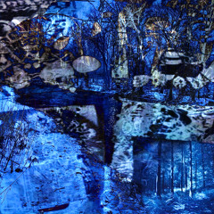 Miloskrrtskrrt - VIP Life (Kizzy + Toren)