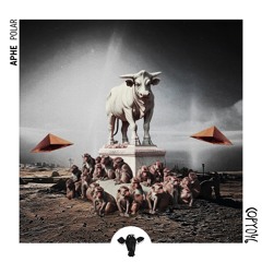 COPY046 APHE ~ Polar (Timboletti Remix) 𝘖𝘜𝘛 𝘕𝘖𝘞