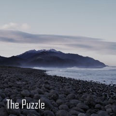 The Puzzle