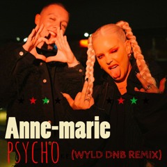 PsYcHo - Anne - Marie (WYLD DNB REMIX)      Free Download
