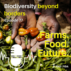Biodiversity beyond borders - IFAD Podcast Episode 77