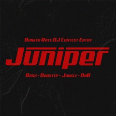 Bunker Rave DJ Contest Entry