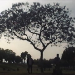 my last night {thislandis + kazba}