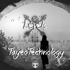 TayeoTechnology - Levels
