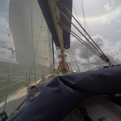 Petit Homme Revisité