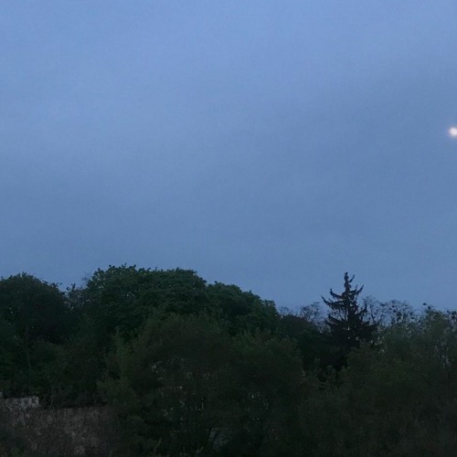 CXEMA w/ Xtclvr 190623