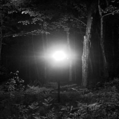 6 No Silêncio Do Meu Mundo