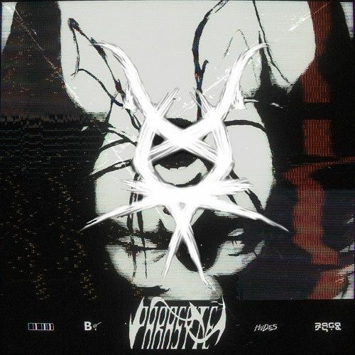 HVDES - PARASYTE (LEVIITH FLIP)