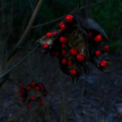 Wait Here (prod. LXCCA)