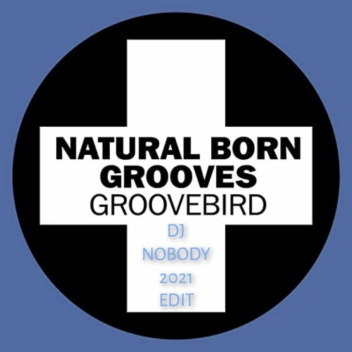 NATURAL BORN GROOVES - Groovebird (97's Dj Nobody 2021 Re CluB Edit)