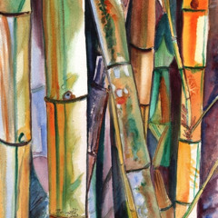 Treasure Box Vol. XIII