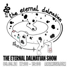 The Eternal Dalmatian Show - Aaja Channel 2 - 09 05 24