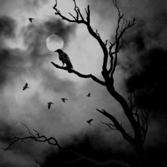 saigømade - widzmy sie na petlach