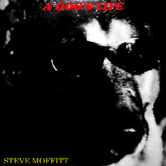 A Dog's Life