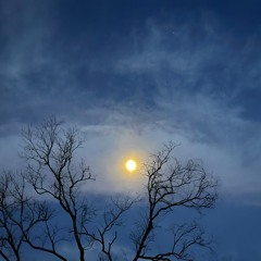 To Beautiful