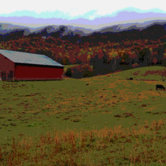 Back Road USA