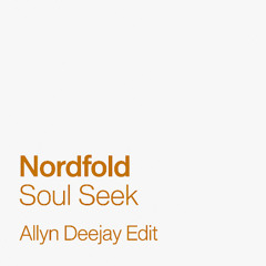 Nordfold - Soul Seek ( ALLYN DEEJAY EDIT )