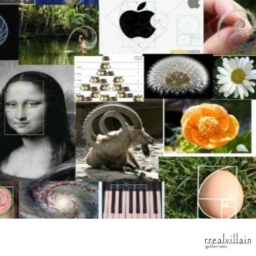 1, 1, 2, 3, 5, 8, 13, 21, 34, 55, 89, 144, 233, 377, 610, 987, 1597, 2584, 4181, 6765, ...