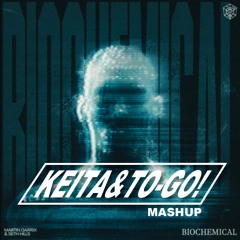 Martin Garrix & Seth Hills - Biochemical X Low (KEITA & TO - GO! Mashup)